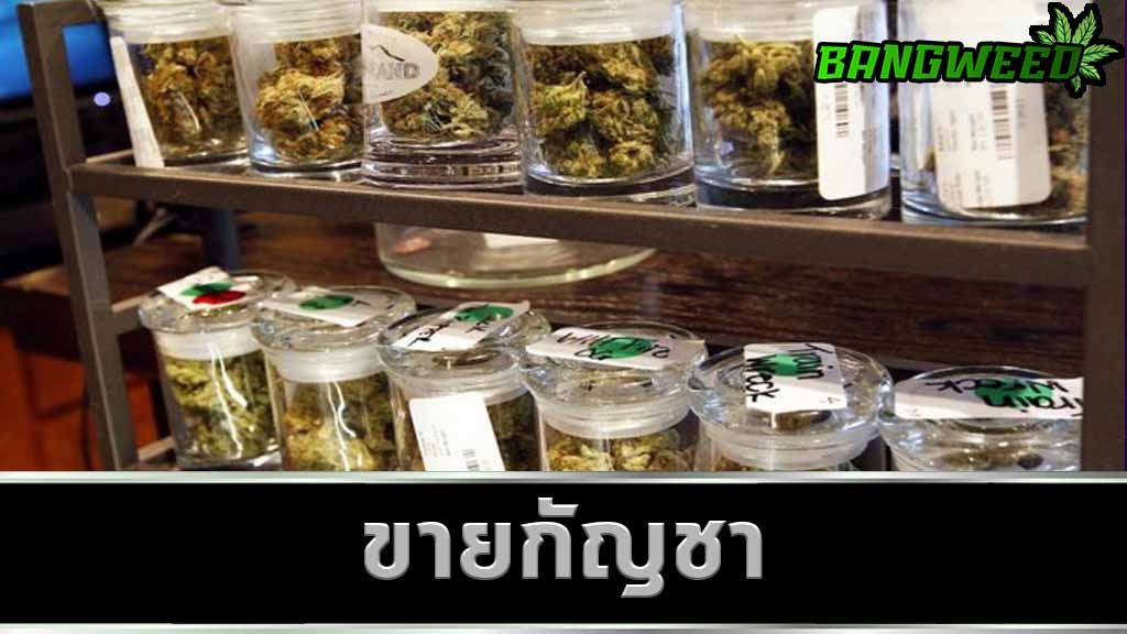 ขายกัญชา