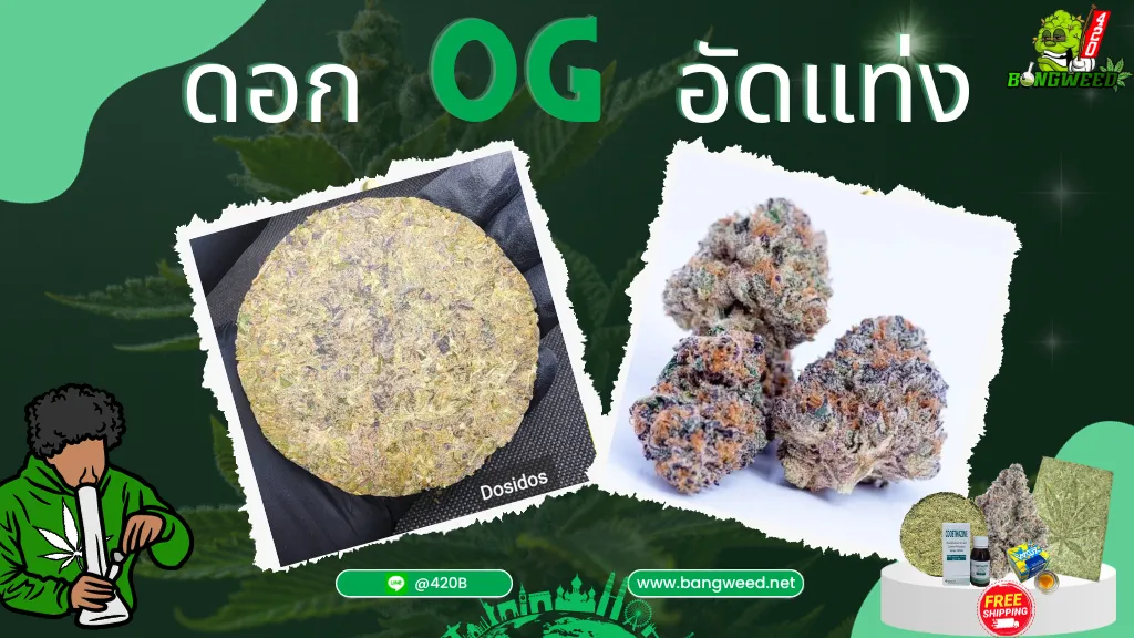 ดอก OG อัดแท่ง