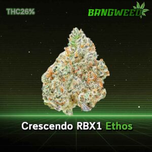 Crescendo RBX1 Ethos