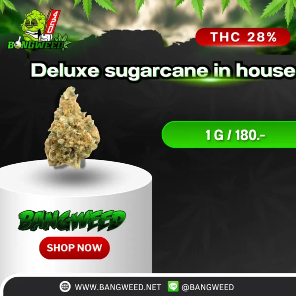 Deluxe sugarcane in house