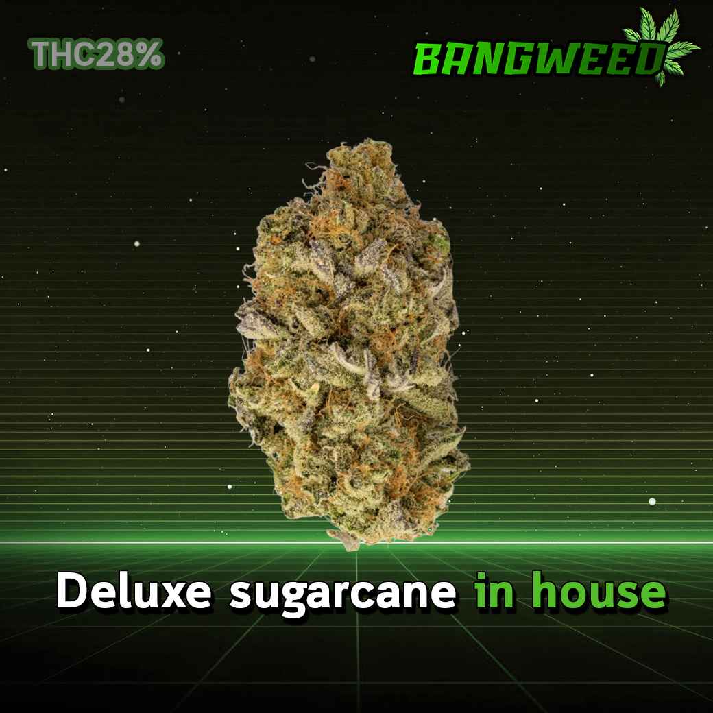 Deluxe sugarcane in house