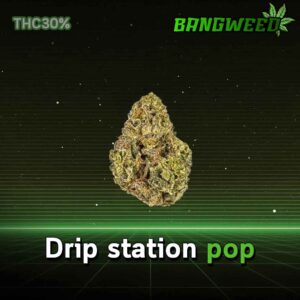 Drip station pop