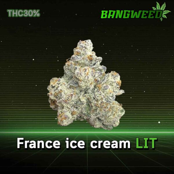 France ice cream LIT