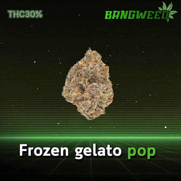 Frozen gelato pop