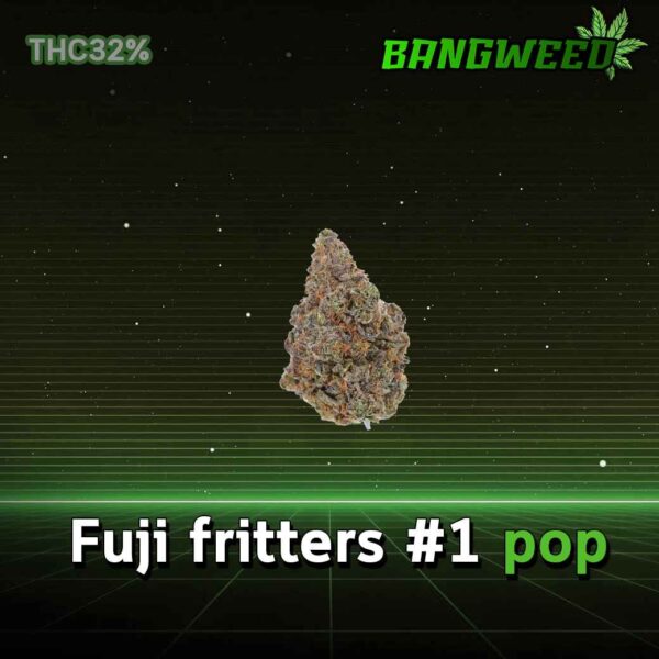 Fuji fritters #1 pop