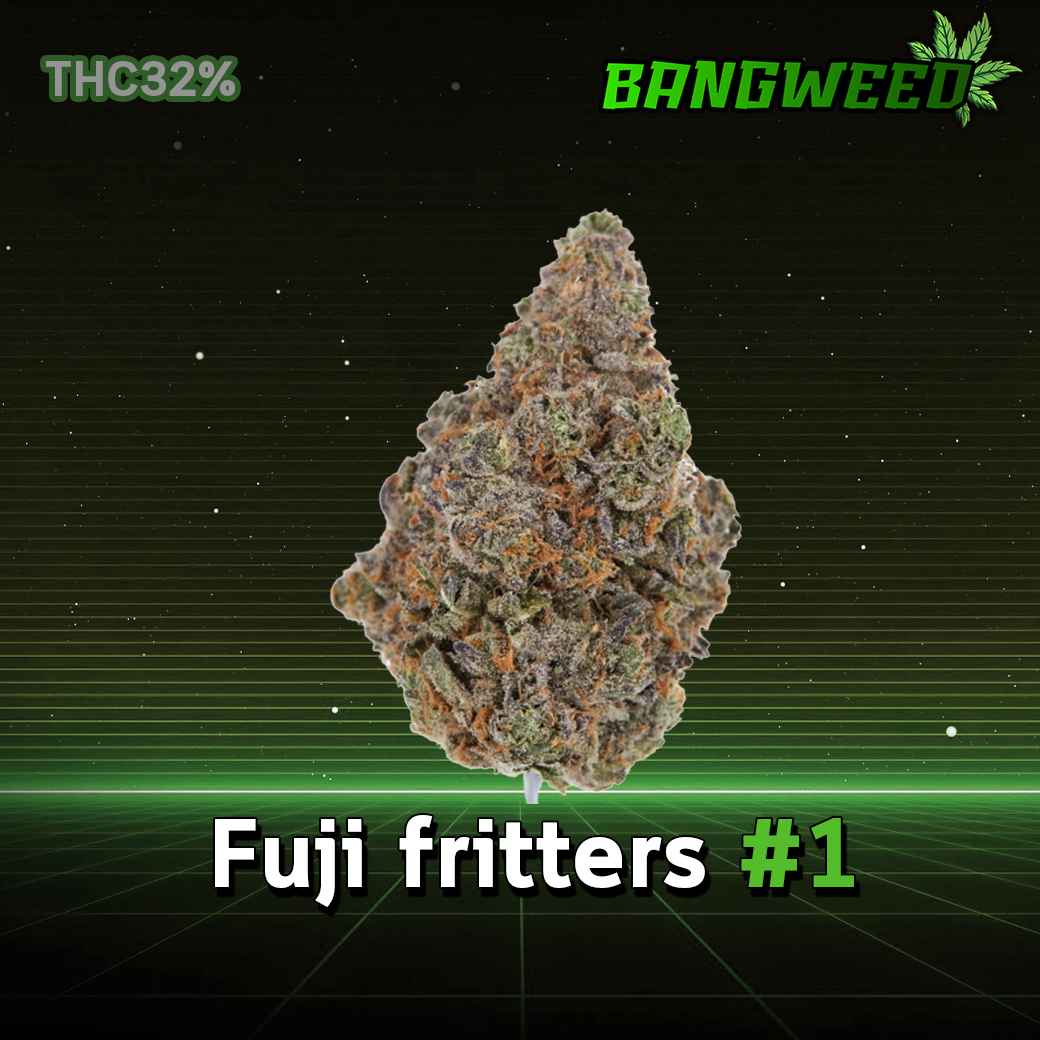 Fuji fritters #1