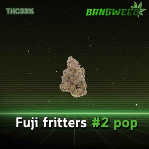 Fuji fritters #2 pop
