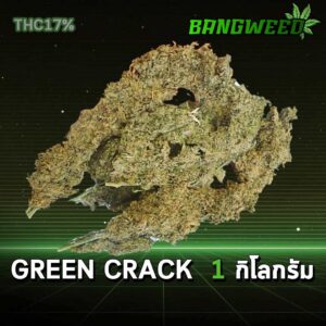 GREEN CRACK 1 กิโลกรัม