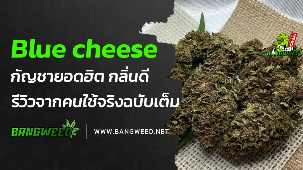 Blue-Cheese