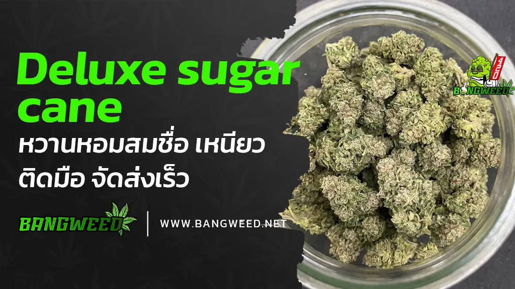 Deluxe-sugar-Cane