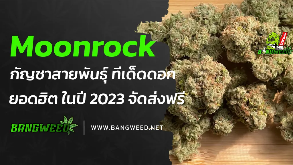 Moonrock