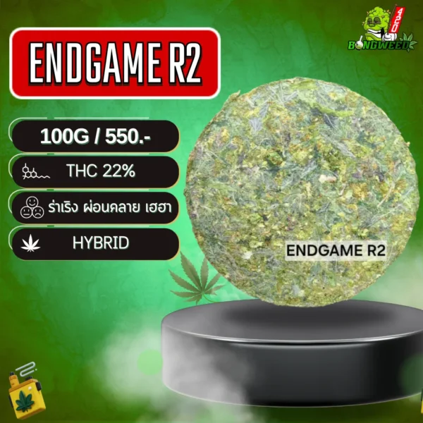 1.2ENDGAME R2 อัดแท่ง_0