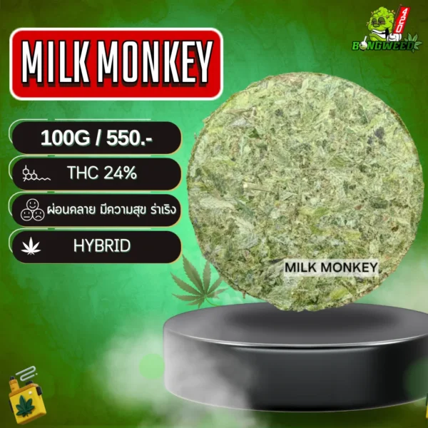 4.1 MILK MONKEY อัดแท่ง_0