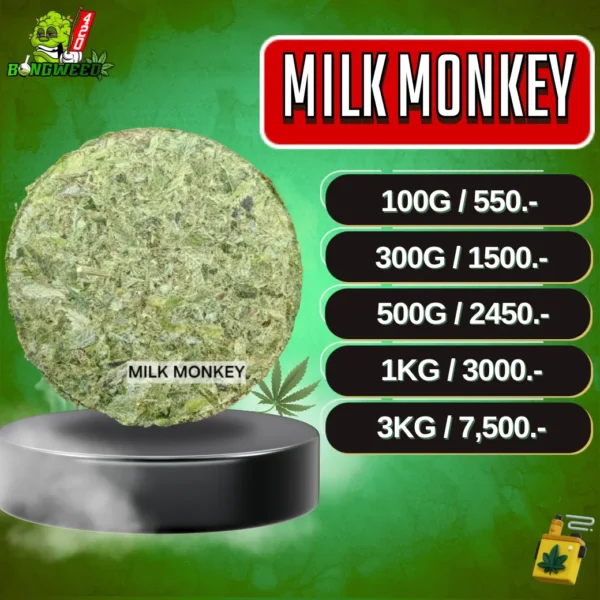 4.2 MILK MONKEY อัดแท่ง_0