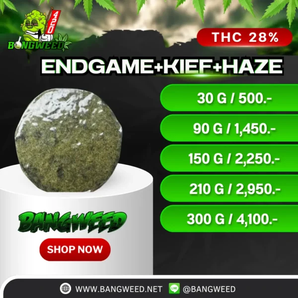 ENDGAME+KIEF+HAZE อัดแท่ง