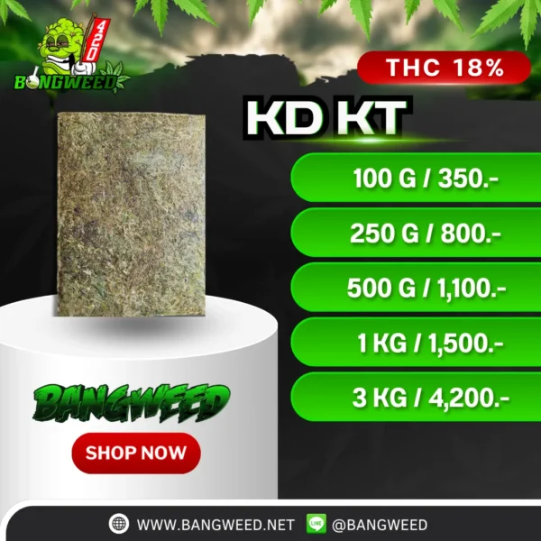 KD KT อัดแท่ง