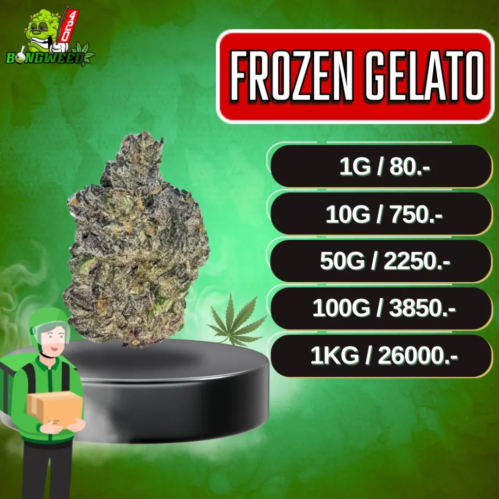 FROZEN GELATO