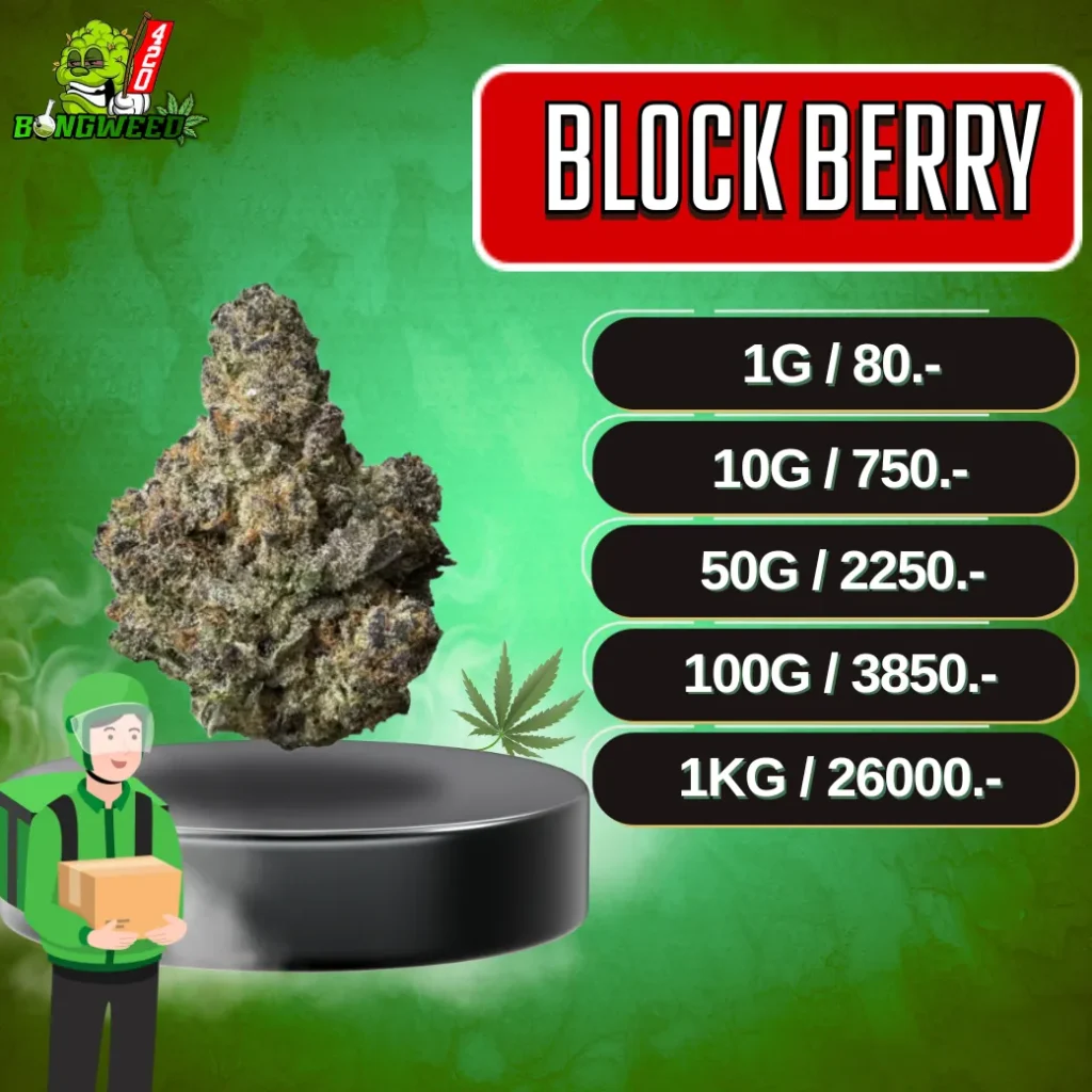 POP BLOCK BERRY