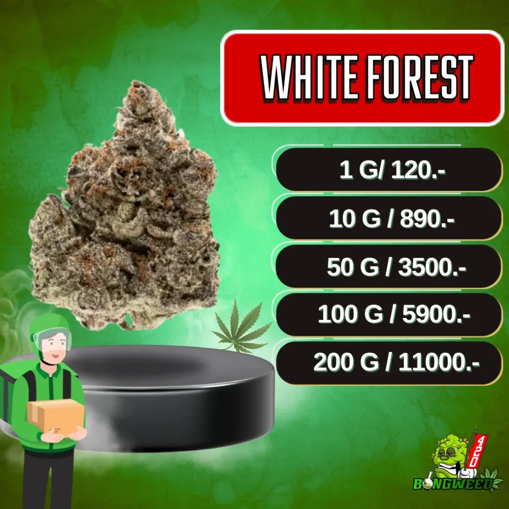 TOP WHITE FOREST