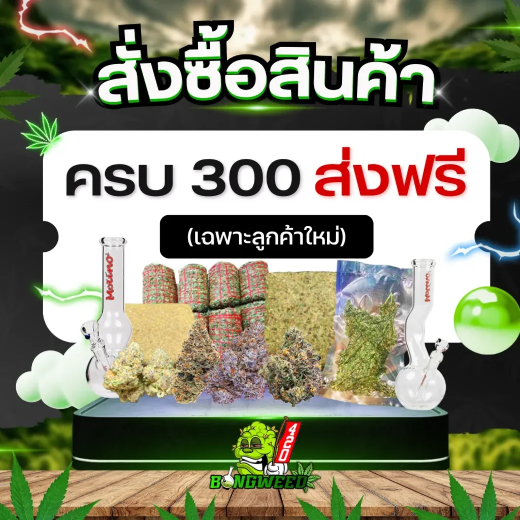 ซื้อสินค้าครบ300