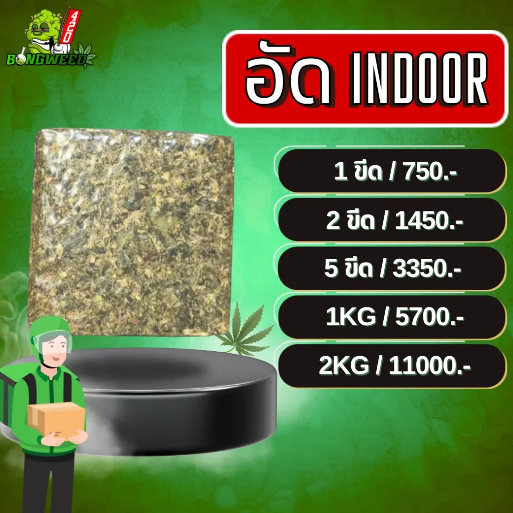 อัด INDOOR