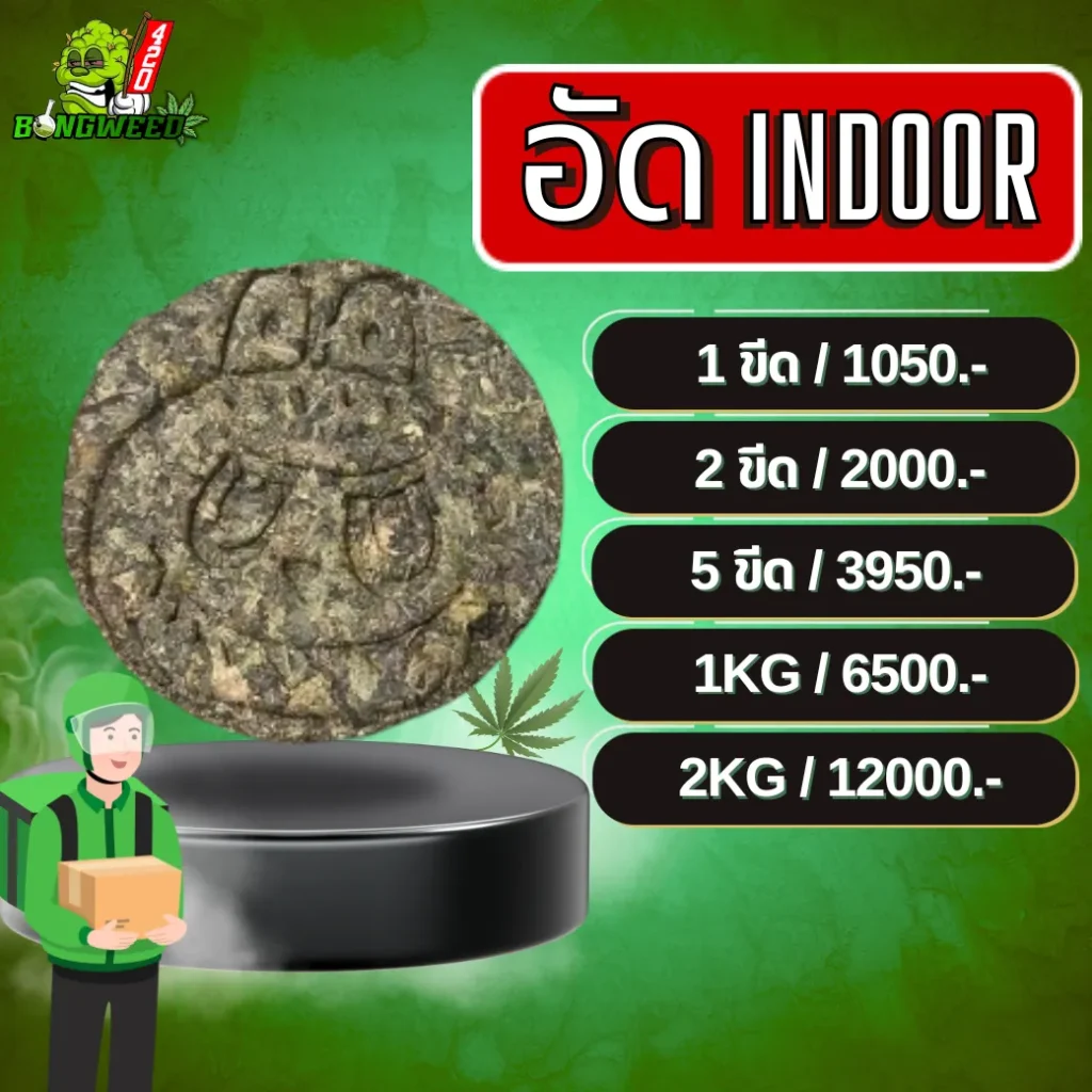 อัด INDOOR